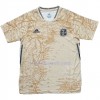 Maillot de Foot Argentine Commemorative Edition Maillot de Foot Argentine Commemorative Edition